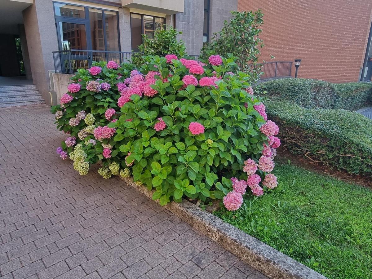 La Casetta Di Grazia E Nino Apartment Buccinasco Exterior foto